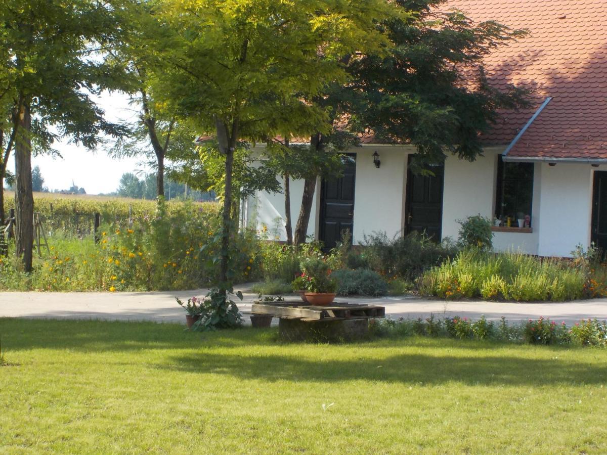 Guest House Vidravar Tabdi Exterior foto
